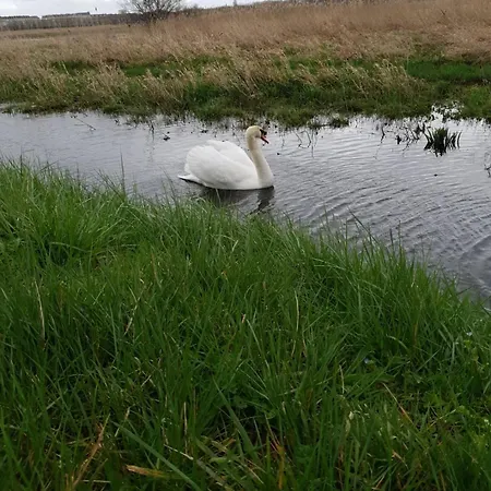 Lumineux T3 Avec Balcon Proche Centre 公寓 凯恩