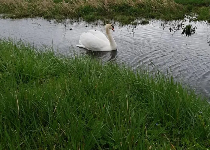 Lumineux T3 Avec Balcon Proche Centre Daire Caen