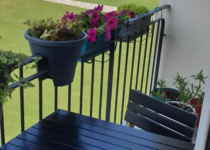 Lumineux T3 Avec Balcon Proche Centre